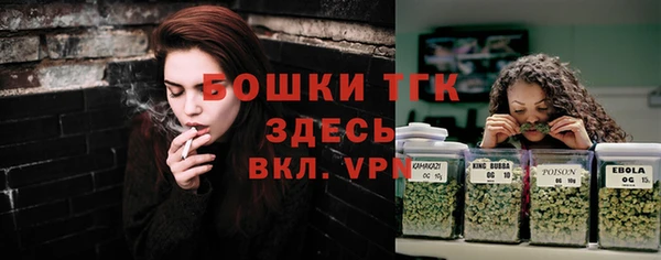 шишки Алексеевка