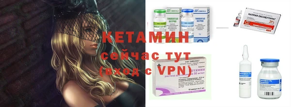 гидра Алексин