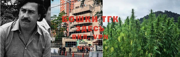 шишки Алексеевка