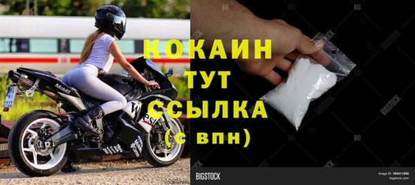 гидра Алексин