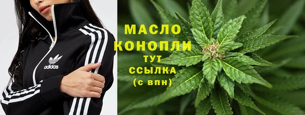 гидра Алексин