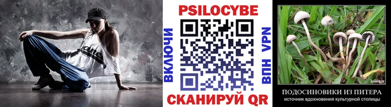 Галлюциногенные грибы мицелий цена Куса